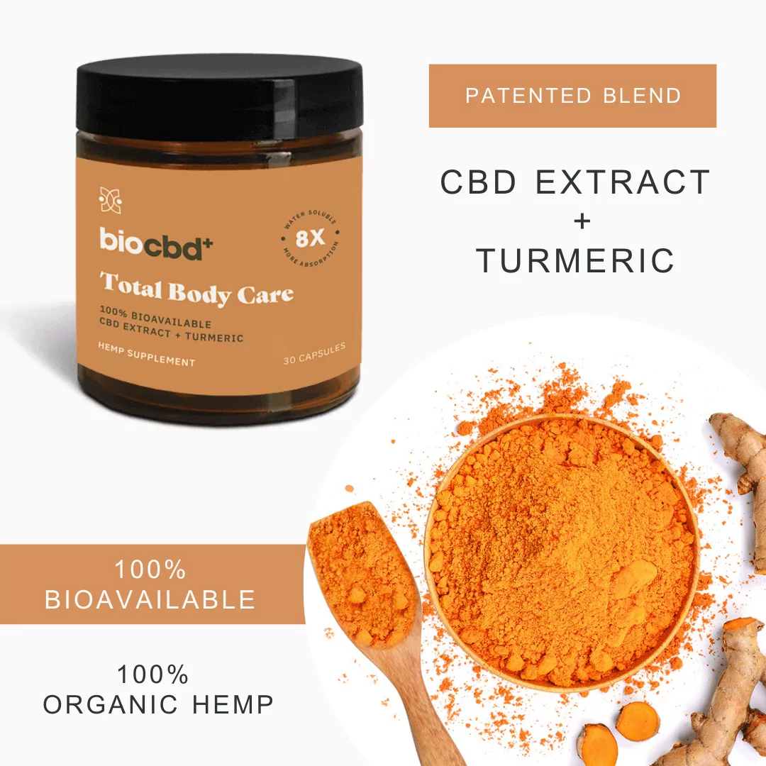 Thé CBD Détox - 100% BIO – POP CBD