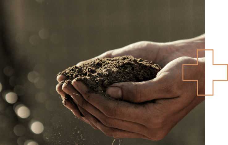 A person holds dirt in their cupped hands