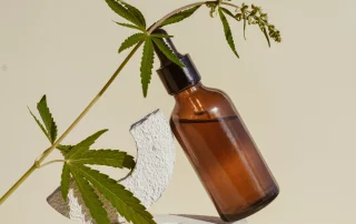 A bottle of CBD oil prepared up against a few hemp plants