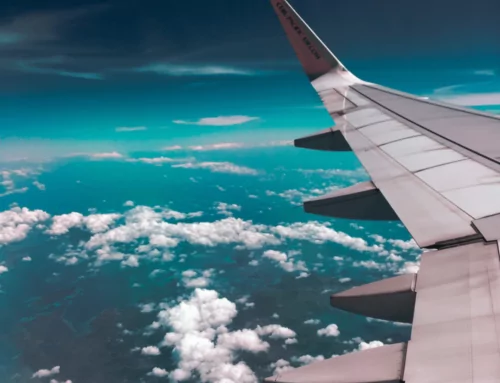 What You Need to Know About Flying with CBD Oil