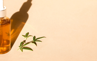 A bottle of CBD oil and a few hemp plants