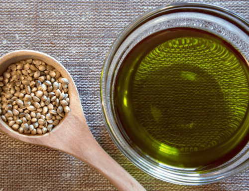 Differences Between CBD Oil And Hemp Oil