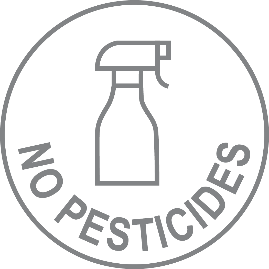 No Pesticides