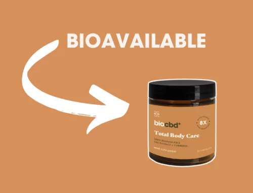 CBD Bioavailability: Why Is It So Important?