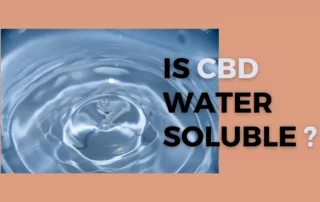 Is CBD Water Soluble?