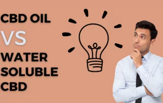 Traditional Oil-Based CBD VS Water-Soluble CBD