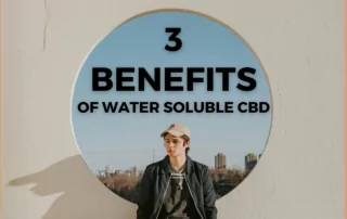 CBD Water Soluble Benefits