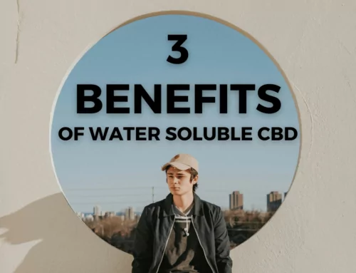 Top 3 CBD Water Soluble Benefits