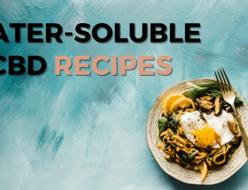 4 Delicious Water Soluble CBD Recipes