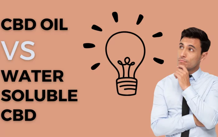 Traditional Oil-Based CBD VS Water-Soluble CBD