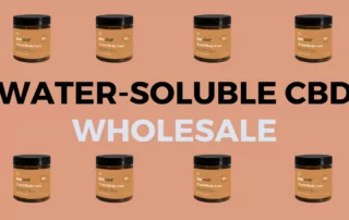 water soluble cbd wholesale