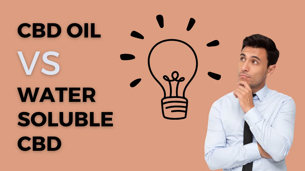 Traditional Oil-Based CBD VS Water-Soluble CBD